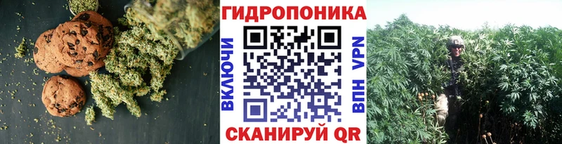 как найти закладки  mega ССЫЛКА  Cannafood марихуана  Качканар 