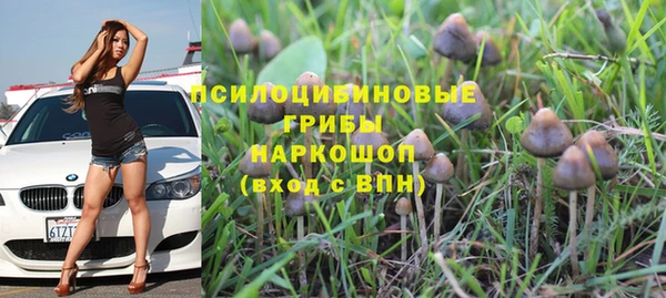 скорость Михайлов