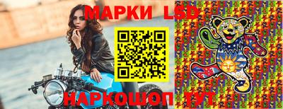 стаф Дубна