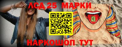 стаф Дубна