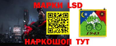стаф Дубна
