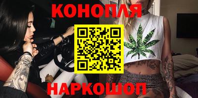 стаф Дубна