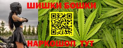 стаф Дубна