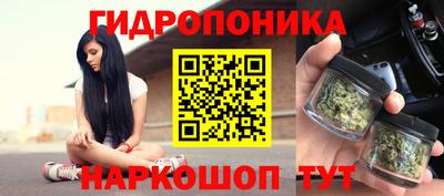 стаф Дубна