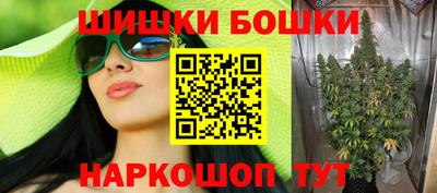 стаф Дубна