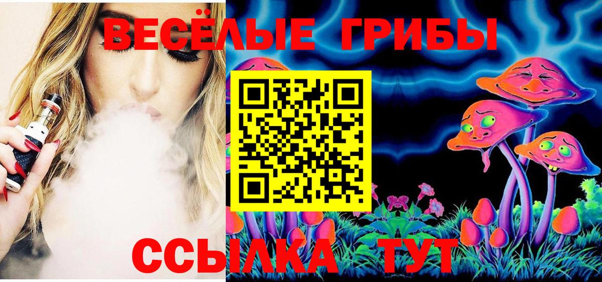 Галлюциногенные грибы Psilocybe  Вход с VPN  Качканар  Галлюциногенные грибы Psilocybe 