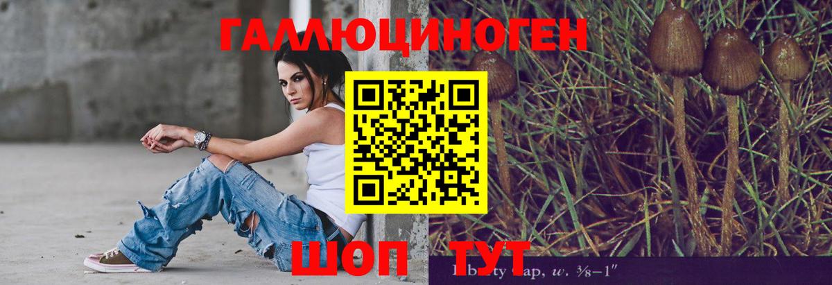 Псилоцибиновые грибы Cubensis Качканар